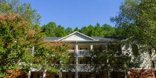 2900 Trailwood Pines Lane - 1-302 2900 Trailwood Pines Lane - 1-302 Gallery 1