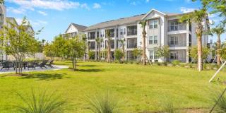 Tapestry Palmera Gallery 58