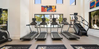 Magnolia Square Gallery 20