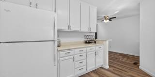 663 Spring Lane Gallery 15