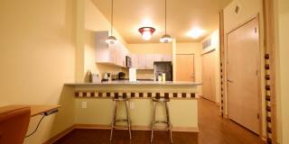 Settlement Place Gallery 286