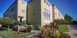 Woodland Park Gallery 23