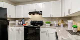 Evergreen Park Gallery 2