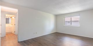 1643 Mars Hill Drive Gallery 9