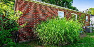 1036 GROBY Road Gallery 50