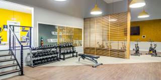 MonteVista Gallery 16