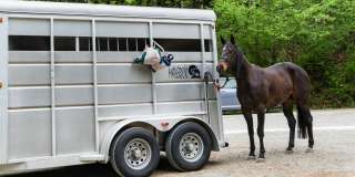 Modera Bridle Trails Modera Bridle Trails Gallery 55