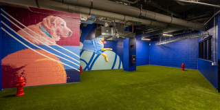 Olive Gallery 25