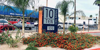 Ten/10 on Main Gallery 20
