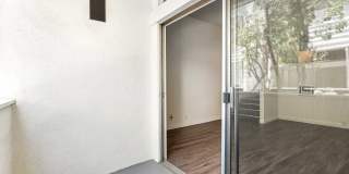 Weddington Apartments Gallery 16