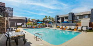 Allanza at the Lakes Gallery 11