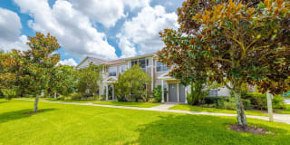 Pine Lake Gallery 16
