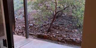 Shadowbrook Apartments-Scenic Living in Sedona Gallery 40