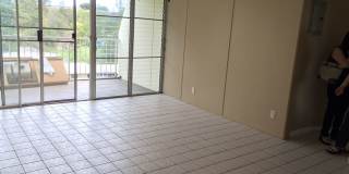 Spacious 2 Bedroom Condo w/Amenities Gallery 1