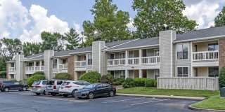 Canter Chase Gallery 33