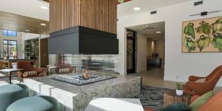 Edera Gallery 20