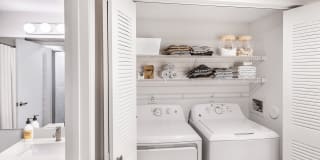 Coconut Palm Club Gallery 40