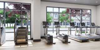 Ellison Museum District Gallery 7