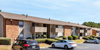 Meadow Wood Gallery 31