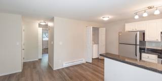 Black Lake Gallery 16