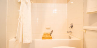 Palmera on 3009 Gallery 20