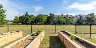 Sawmill Ridge Gallery 18