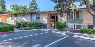 Carrington Gallery 40