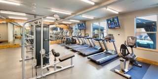 306 Riverfront Gallery 12