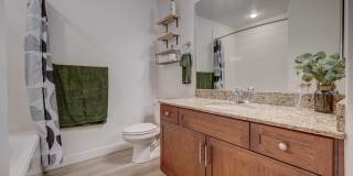 Park Lane Village Gallery 10