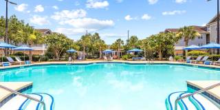 Olympus Carrington Gallery 22