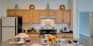 Vineland Landings Gallery 13
