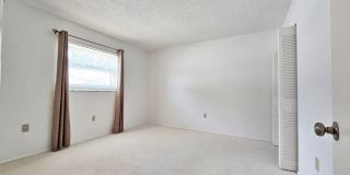 3 Bedroom 2 Bath Home in Safety Harbor Gallery 24