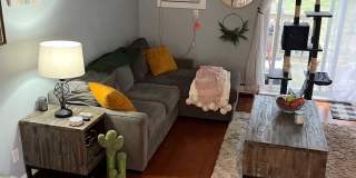 28 Shelburne Road Gallery 3