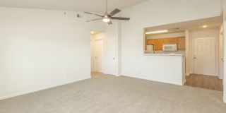 Willow Glen Gallery 60