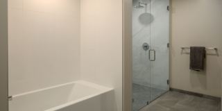 The Merian Gallery 22