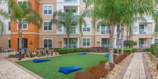 RIZE at Winter Springs Gallery 12