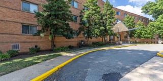 Wood Lee Arms Gallery 51