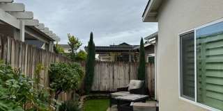 Charming and Elegant Home in Clovis District Gallery 17