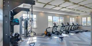 Traders Row Gallery 16