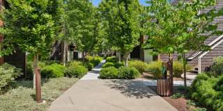 Grove Apartments Gallery 42