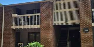1022 Sandlin Place Gallery 2