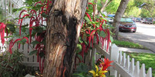 6+ MONTH RENTAL-Temporarily discounted to $3000 for this season! Gallery 15