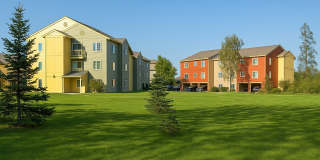 Brighton Park Gallery 3