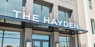 The Hayden Gallery 33