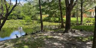 6639 Hidden Cove Drive Gallery 24