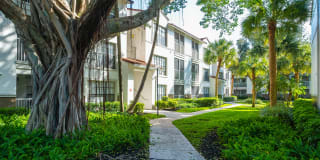 10X Port Royale 10X Port Royale Gallery 29