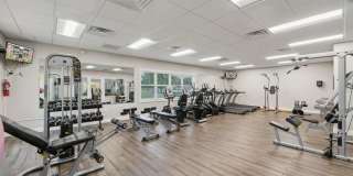 Grove at Alban Gallery 4