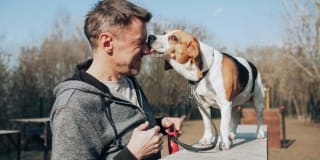 Lakeside Village Gallery 21