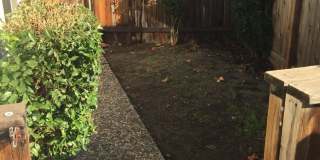 Rare find home with 2-Car Garage, Fenced Yard, with Convenient Location! Gallery 10