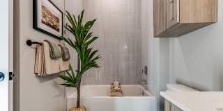 1010 Waugh Apartments Gallery 8